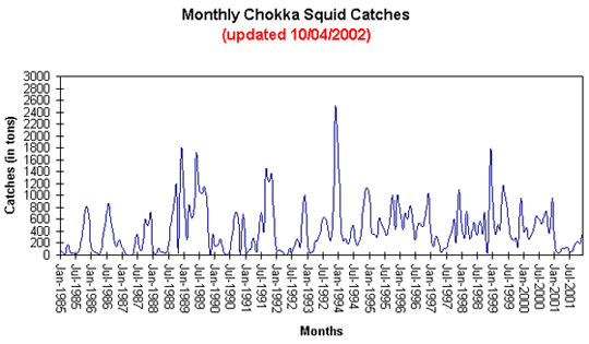 Monthly chokka squid catches graph